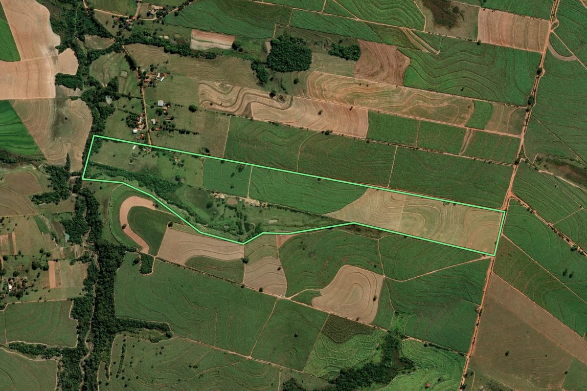 Imagem de satélite do imóvel rural em Promissão (SP), com o contorno declarado no CAR desenhado por cima.