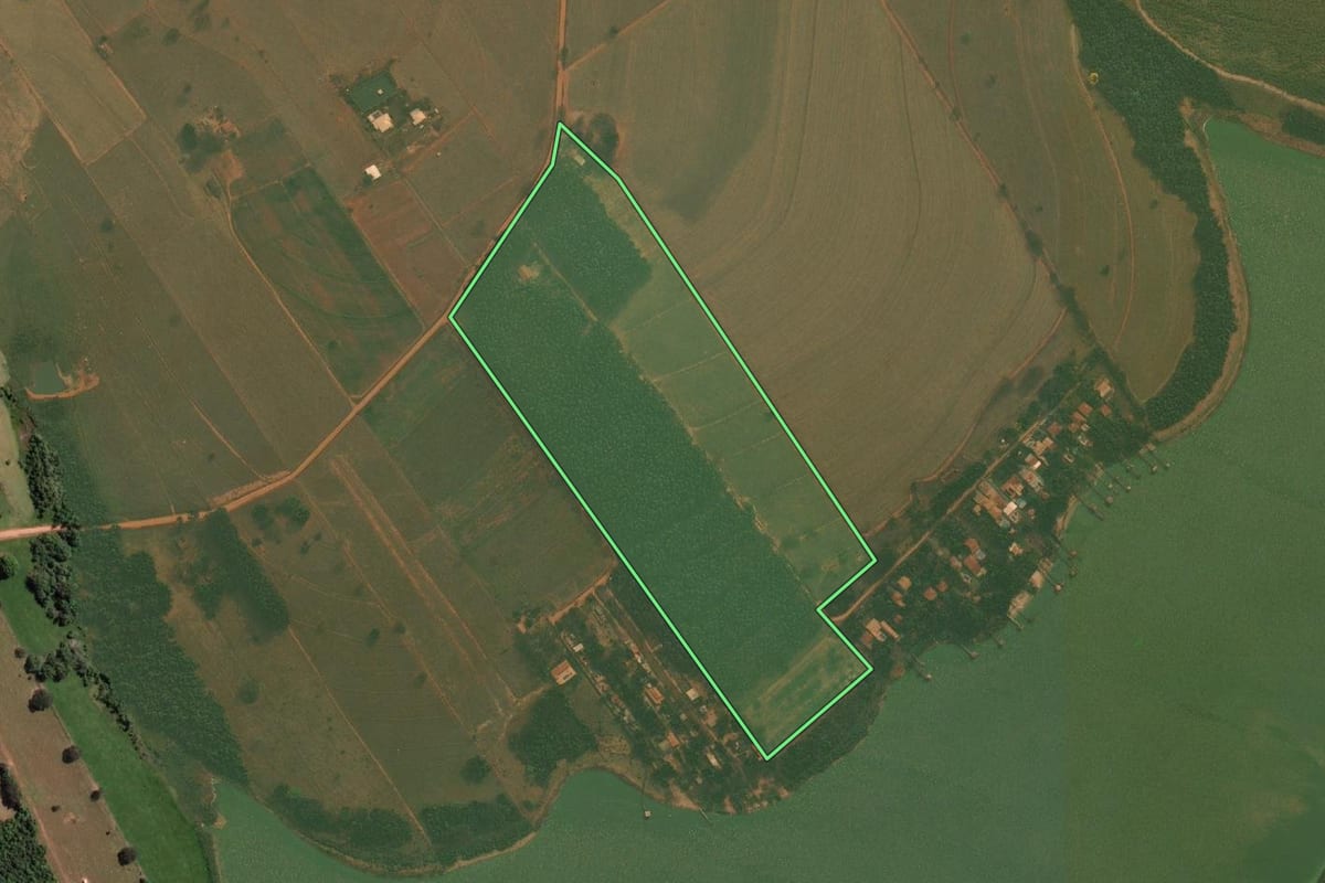 Imagem de satélite do imóvel rural em Promissão (SP), com o contorno declarado no CAR desenhado por cima.