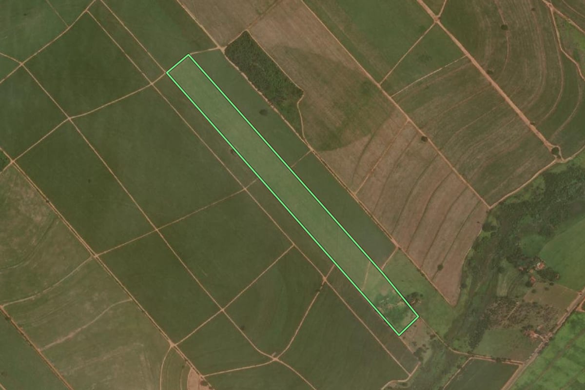 Imagem de satélite do imóvel rural em Promissão (SP), com o contorno declarado no CAR desenhado por cima.