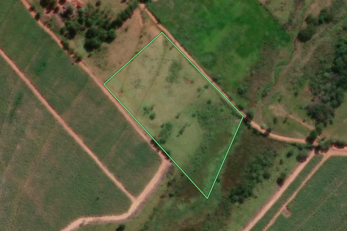 Imagem de satélite do imóvel rural em Promissão (SP), com o contorno declarado no CAR desenhado por cima.