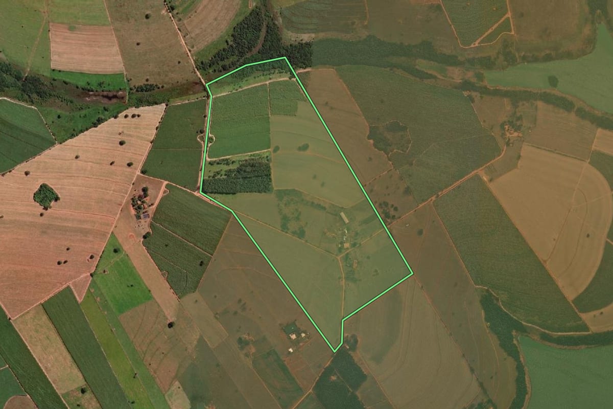 Imagem de satélite do imóvel rural em Promissão (SP), com o contorno declarado no CAR desenhado por cima.