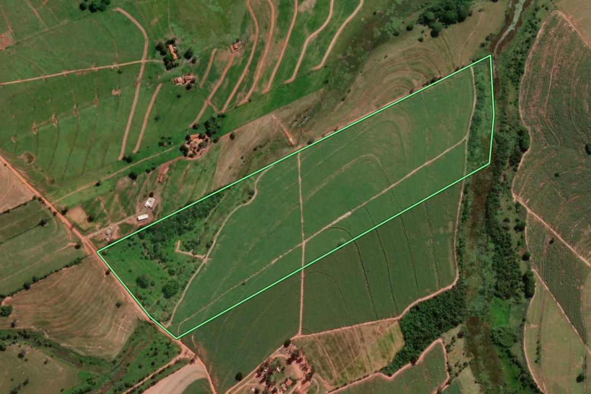 Imagem de satélite do imóvel rural em Promissão (SP), com o contorno declarado no CAR desenhado por cima.