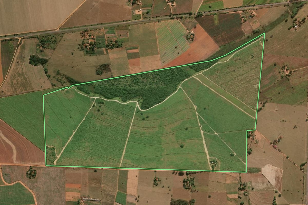 Imagem de satélite do imóvel rural em Promissão (SP), com o contorno declarado no CAR desenhado por cima.