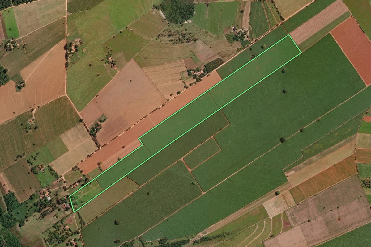 Imagem de satélite do imóvel rural em Promissão (SP), com o contorno declarado no CAR desenhado por cima.