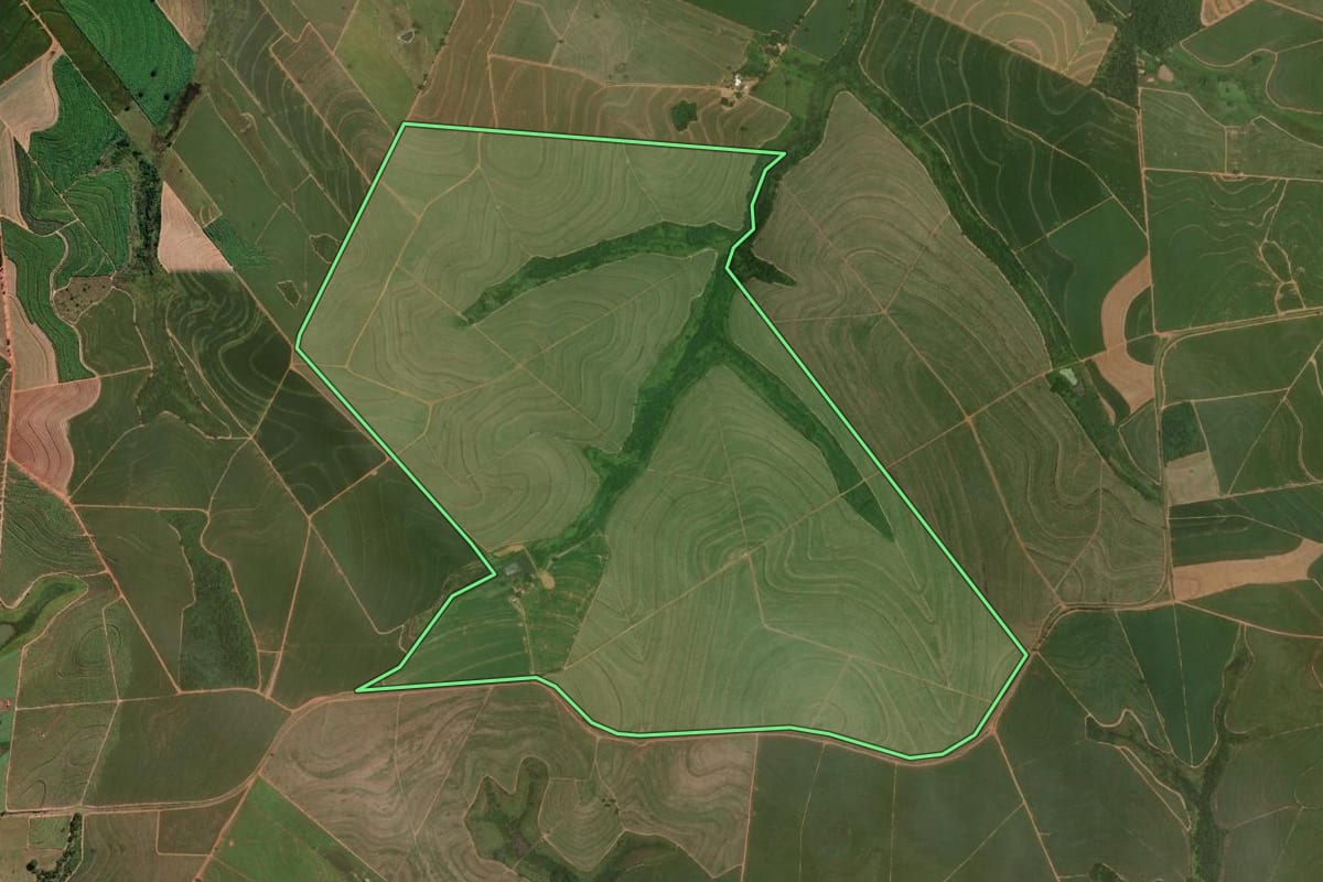 Imagem de satélite do imóvel rural em Promissão (SP), com o contorno declarado no CAR desenhado por cima.