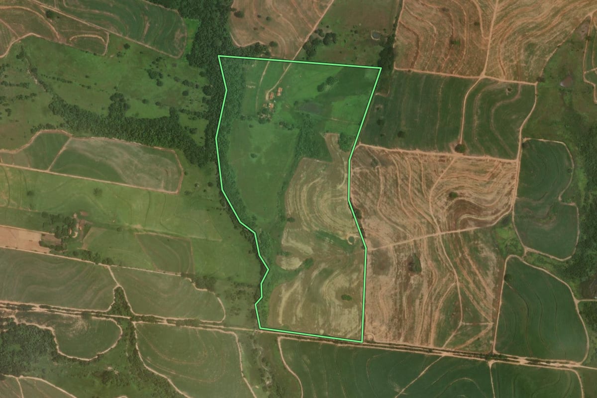 Imagem de satélite do imóvel rural em Promissão (SP), com o contorno declarado no CAR desenhado por cima.