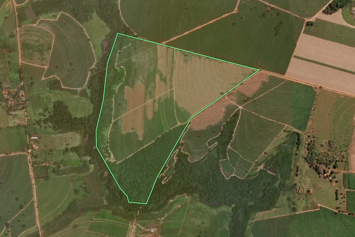 Imagem de satélite do imóvel rural em Promissão (SP), com o contorno declarado no CAR desenhado por cima.