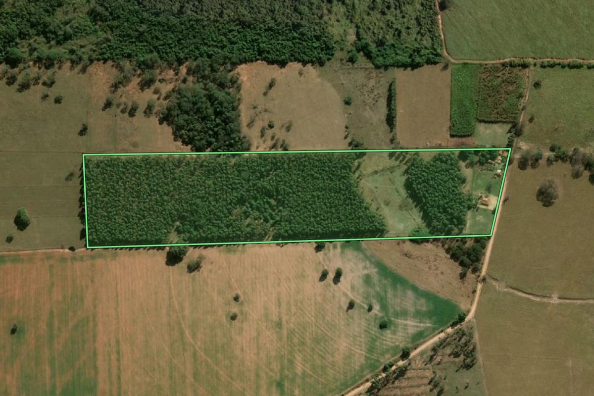 Imagem de satélite do imóvel rural em Promissão (SP), com o contorno declarado no CAR desenhado por cima.