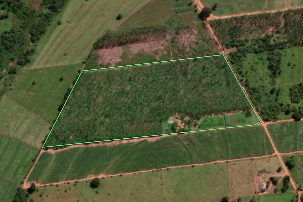 Imagem de satélite do imóvel rural em Promissão (SP), com o contorno declarado no CAR desenhado por cima.