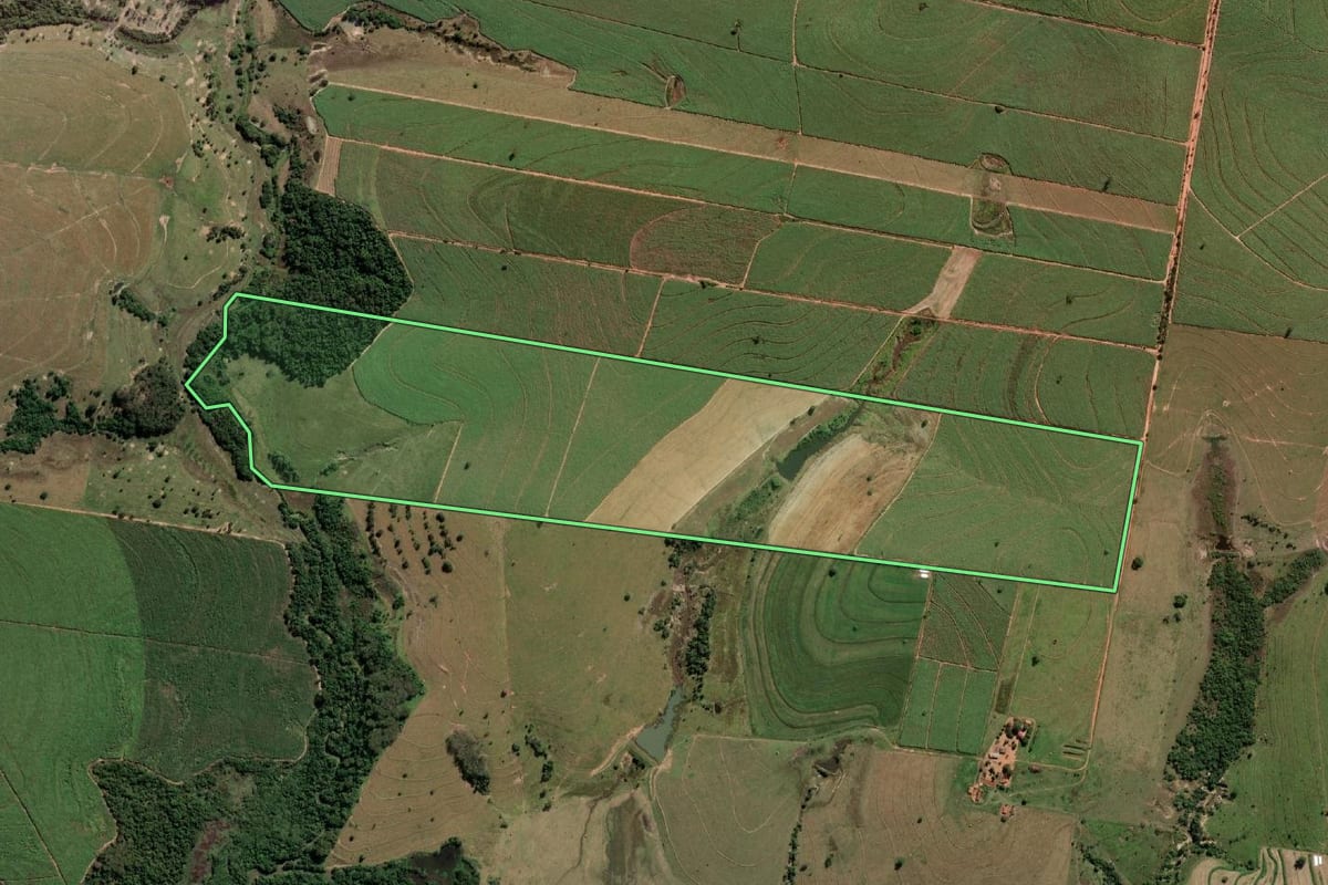 Imagem de satélite do imóvel rural em Promissão (SP), com o contorno declarado no CAR desenhado por cima.