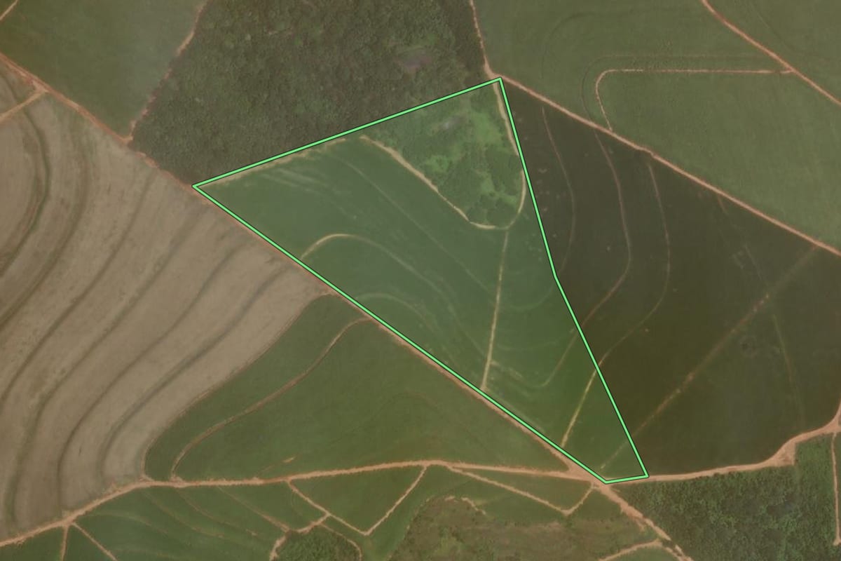 Imagem de satélite do imóvel rural em Promissão (SP), com o contorno declarado no CAR desenhado por cima.