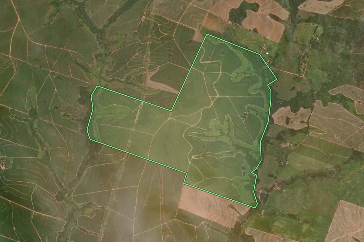 Imagem de satélite do imóvel rural em Promissão (SP), com o contorno declarado no CAR desenhado por cima.
