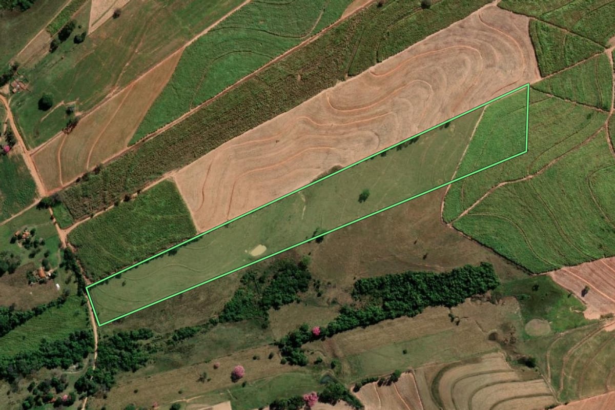Imagem de satélite do imóvel rural em Promissão (SP), com o contorno declarado no CAR desenhado por cima.