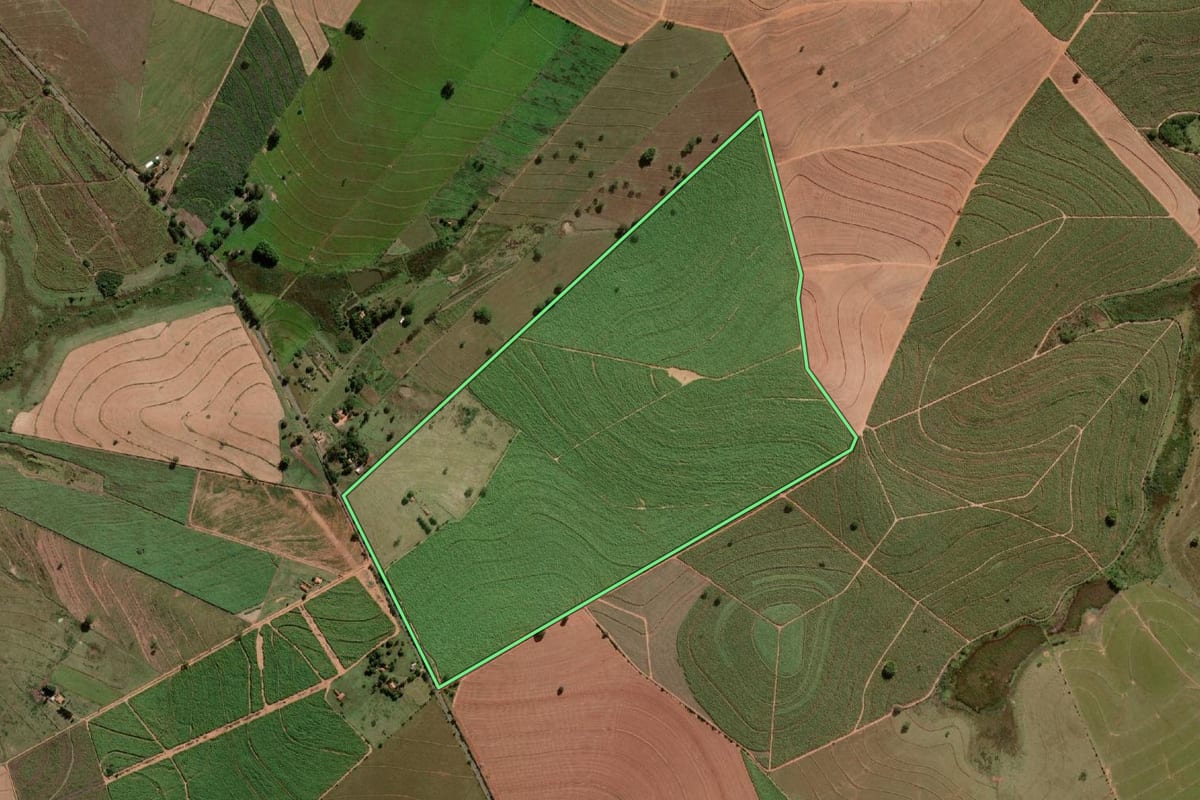 Imagem de satélite do imóvel rural em Queiroz (SP), com o contorno declarado no CAR desenhado por cima.