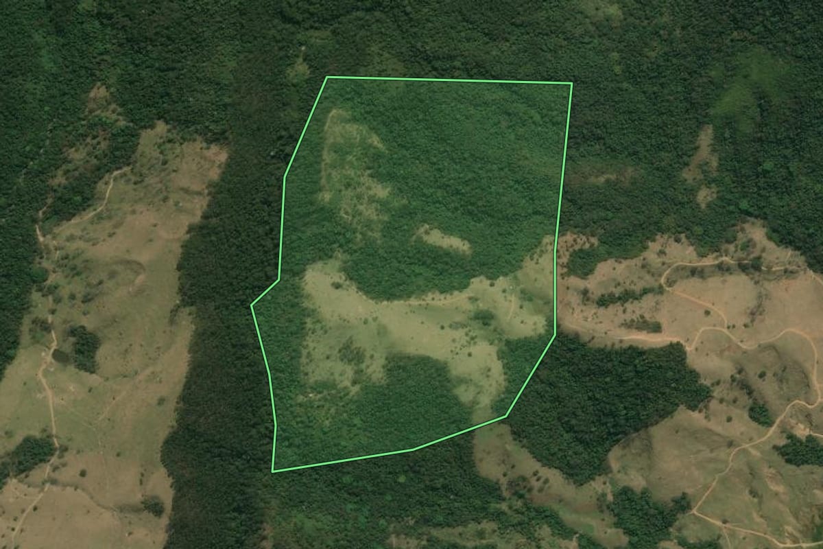 Imagem de satélite do imóvel rural em Queluz (SP), com o contorno declarado no CAR desenhado por cima.