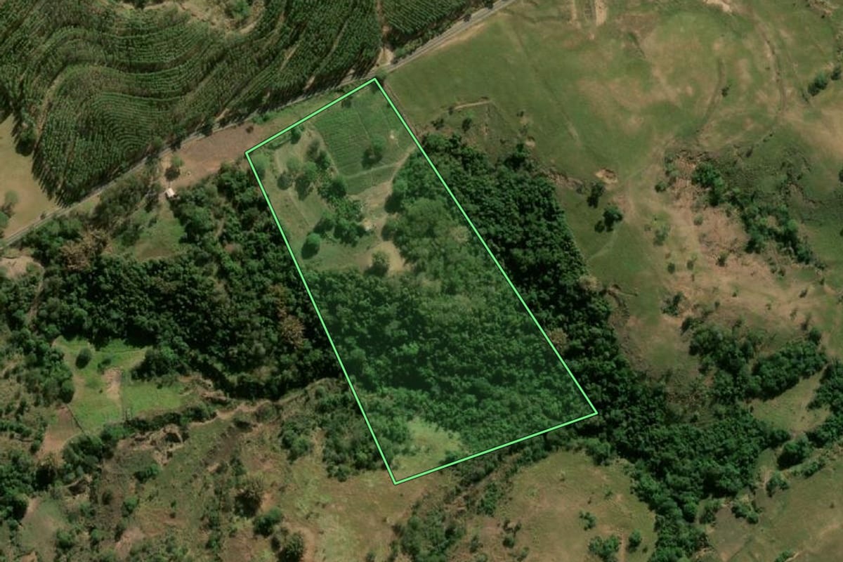 Imagem de satélite do imóvel rural em Quintana (SP), com o contorno declarado no CAR desenhado por cima.