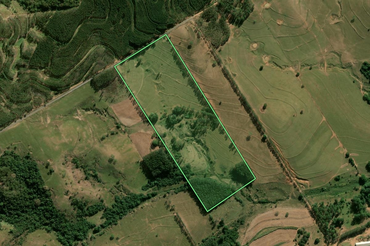 Imagem de satélite do imóvel rural em Quintana (SP), com o contorno declarado no CAR desenhado por cima.