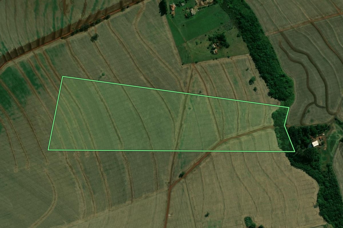 Imagem de satélite do imóvel rural em Rancharia (SP), com o contorno declarado no CAR desenhado por cima.