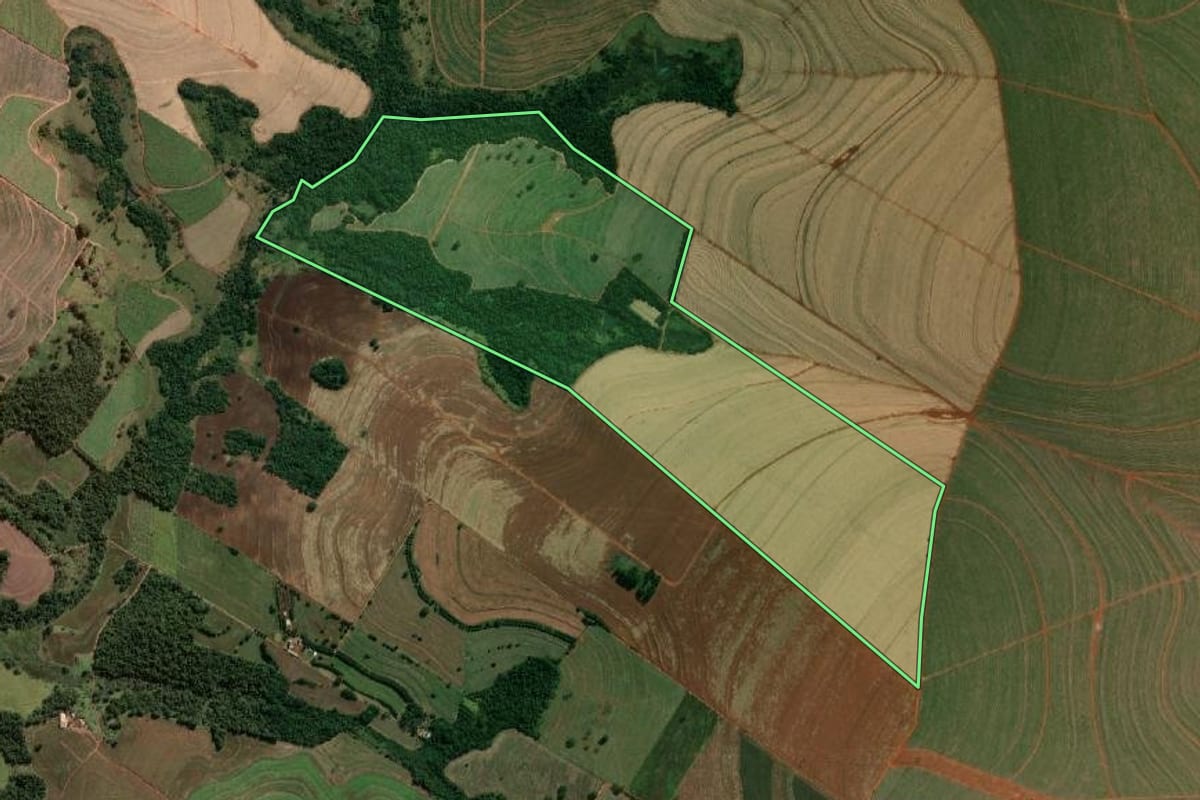 Imagem de satélite do imóvel rural em Rancharia (SP), com o contorno declarado no CAR desenhado por cima.