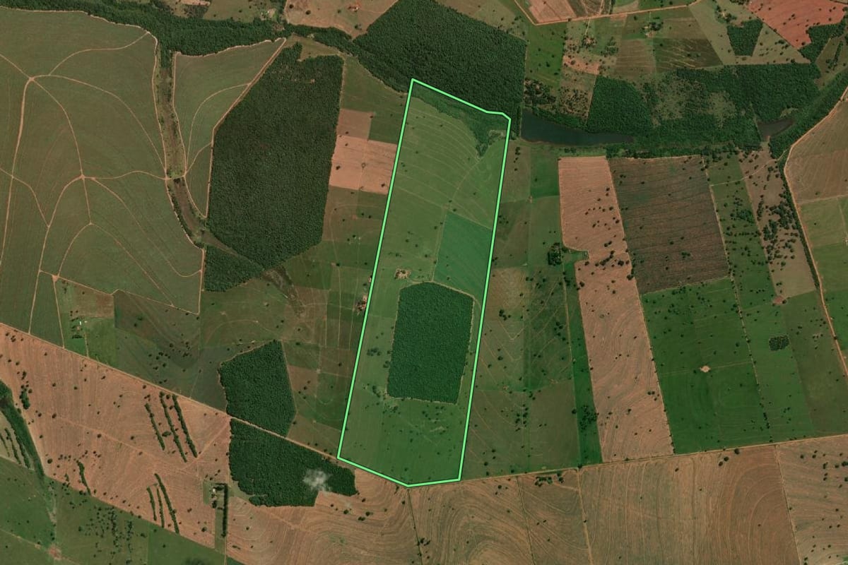 Imagem de satélite do imóvel rural em Rancharia (SP), com o contorno declarado no CAR desenhado por cima.