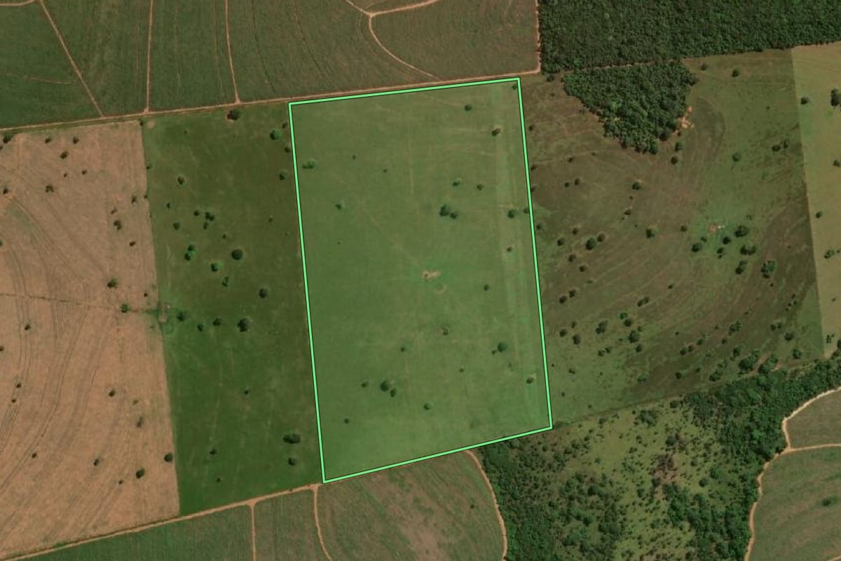 Imagem de satélite do imóvel rural em Rancharia (SP), com o contorno declarado no CAR desenhado por cima.