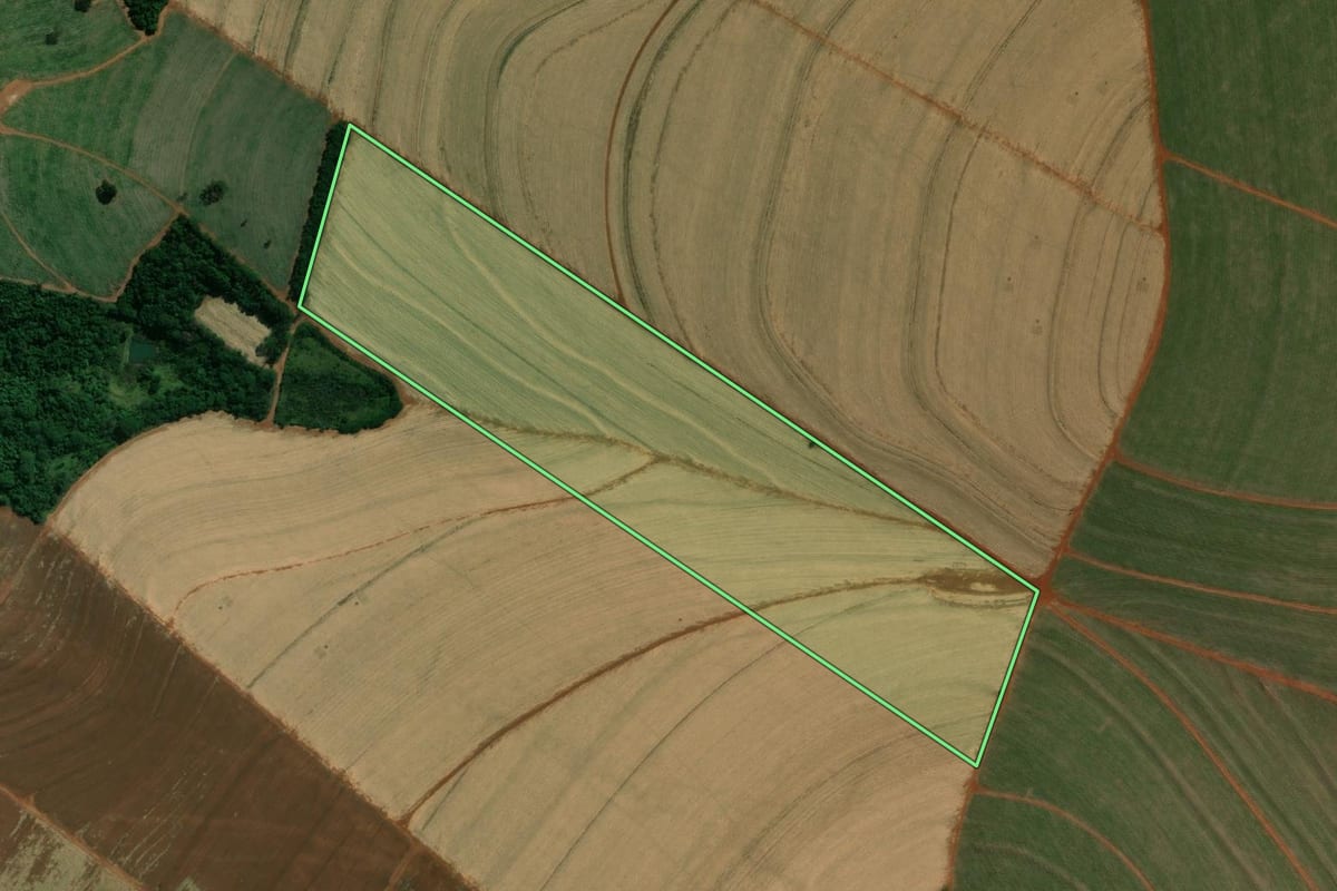 Imagem de satélite do imóvel rural em Rancharia (SP), com o contorno declarado no CAR desenhado por cima.