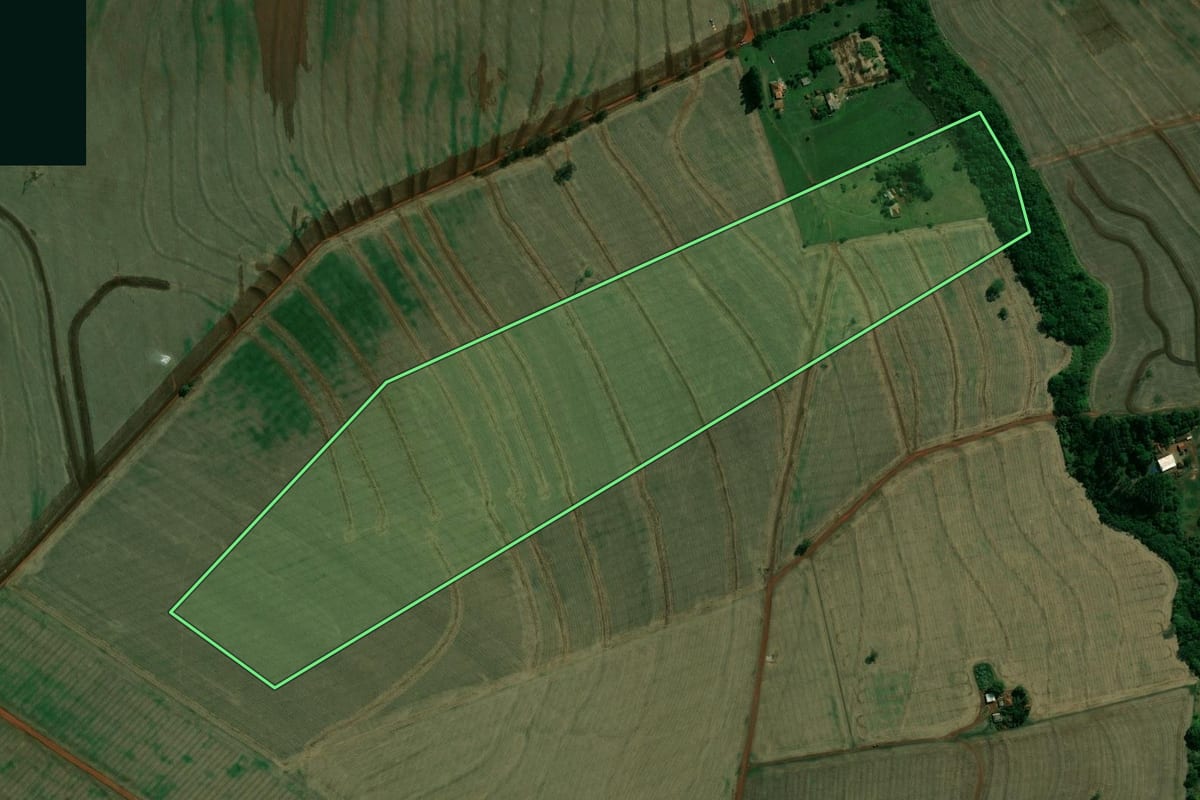 Imagem de satélite do imóvel rural em Rancharia (SP), com o contorno declarado no CAR desenhado por cima.