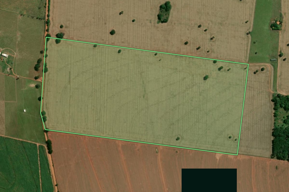 Imagem de satélite do imóvel rural em Rancharia (SP), com o contorno declarado no CAR desenhado por cima.