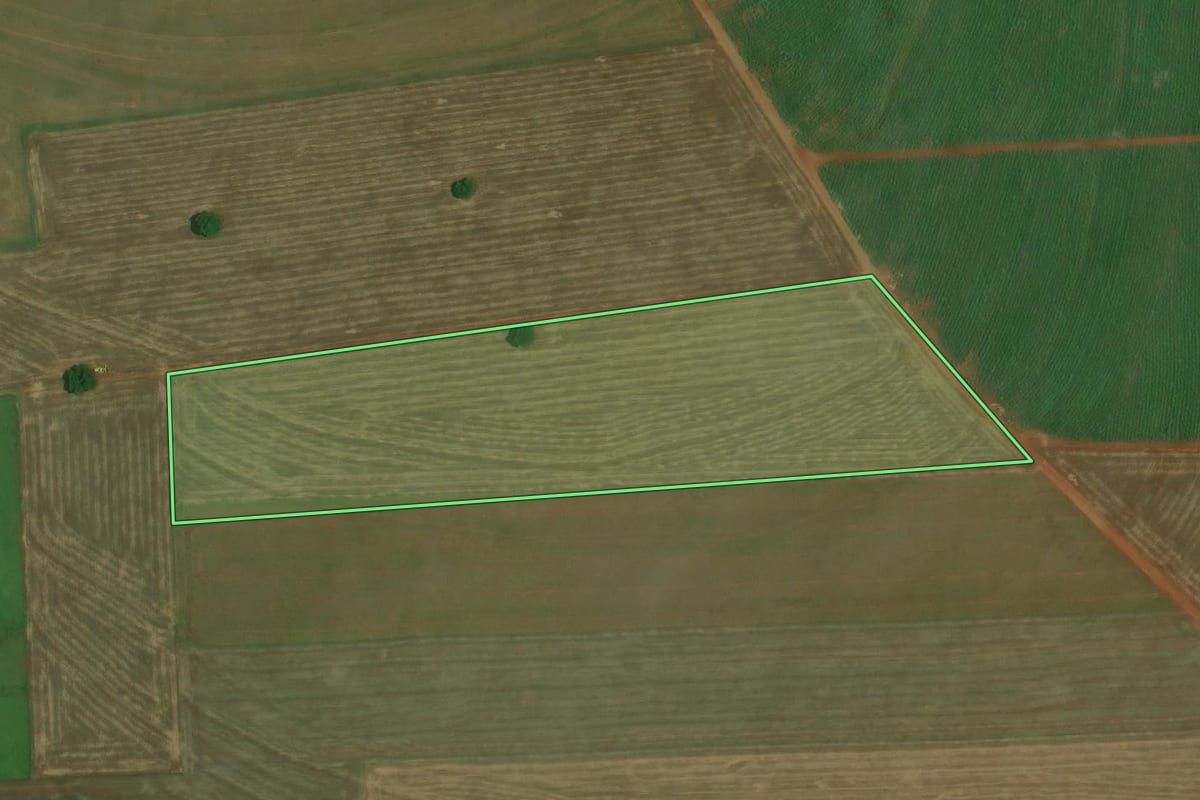 Imagem de satélite do imóvel rural em Rancharia (SP), com o contorno declarado no CAR desenhado por cima.