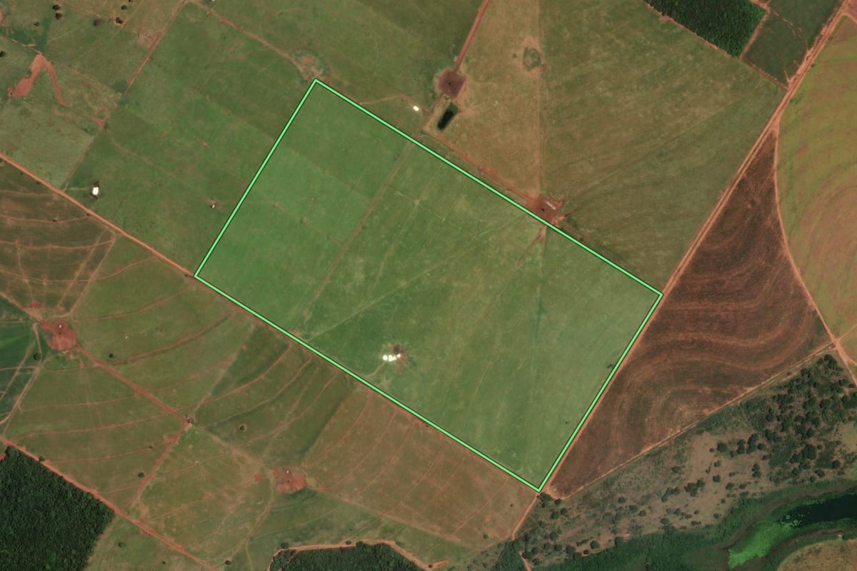 Imagem de satélite do imóvel rural em Rancharia (SP), com o contorno declarado no CAR desenhado por cima.