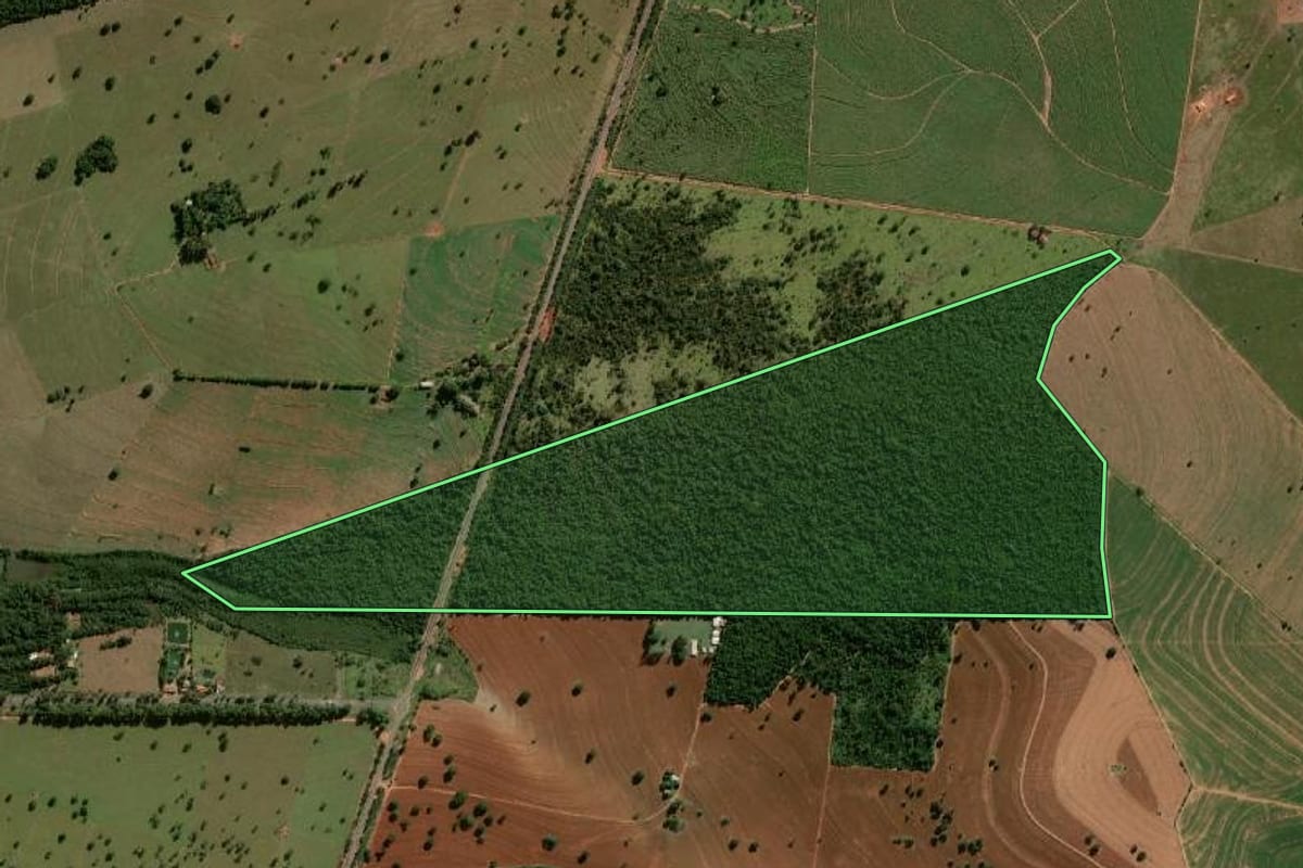 Imagem de satélite do imóvel rural em Rancharia (SP), com o contorno declarado no CAR desenhado por cima.