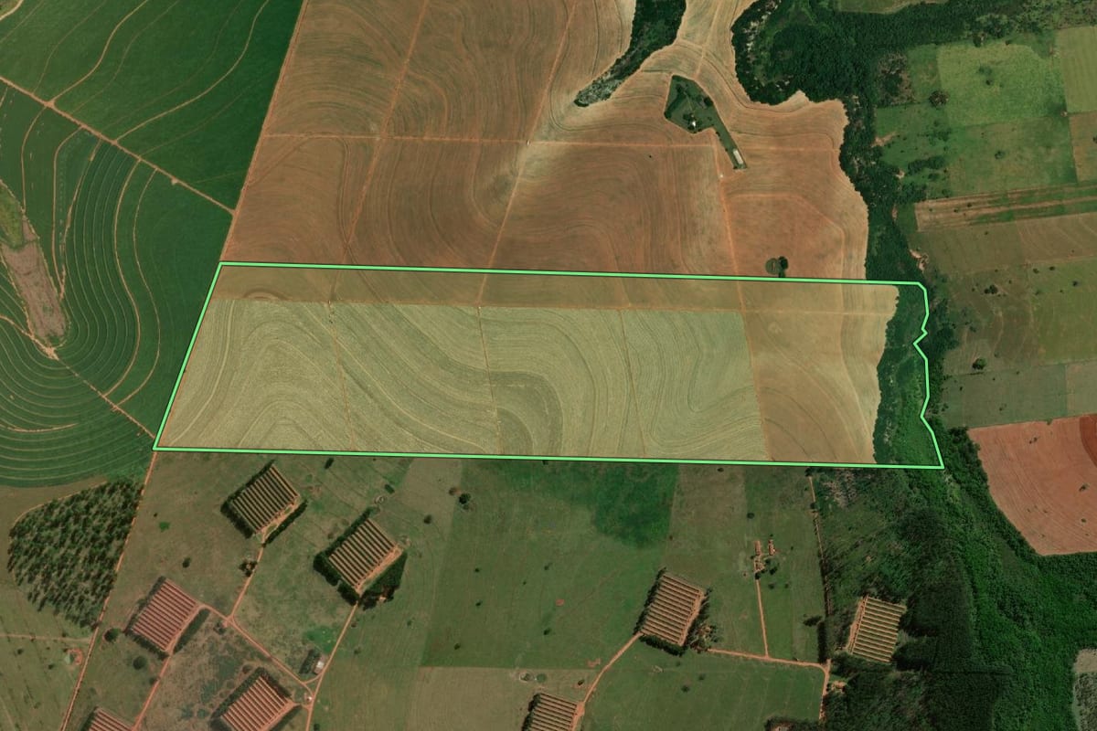Imagem de satélite do imóvel rural em Rancharia (SP), com o contorno declarado no CAR desenhado por cima.