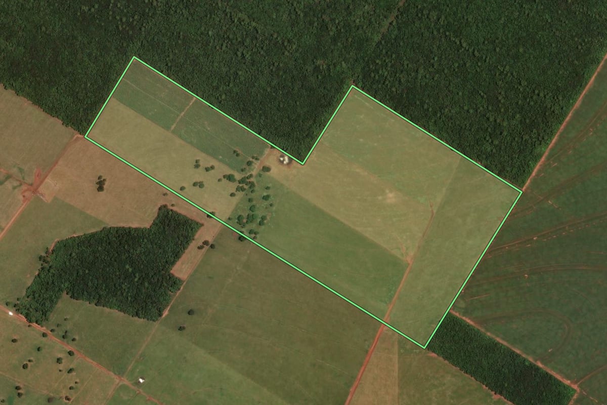 Imagem de satélite do imóvel rural em Rancharia (SP), com o contorno declarado no CAR desenhado por cima.
