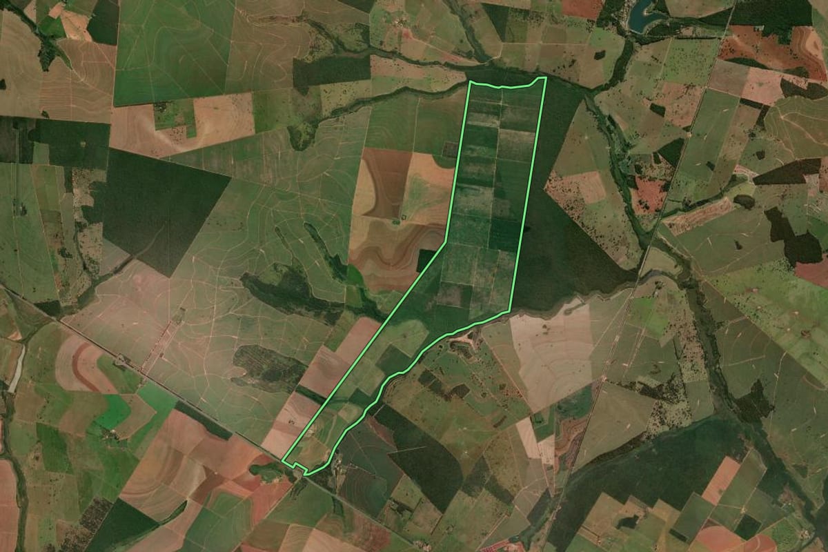 Imagem de satélite do imóvel rural em Rancharia (SP), com o contorno declarado no CAR desenhado por cima.