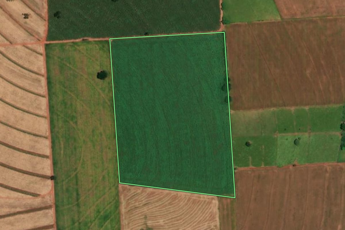 Imagem de satélite do imóvel rural em Rancharia (SP), com o contorno declarado no CAR desenhado por cima.
