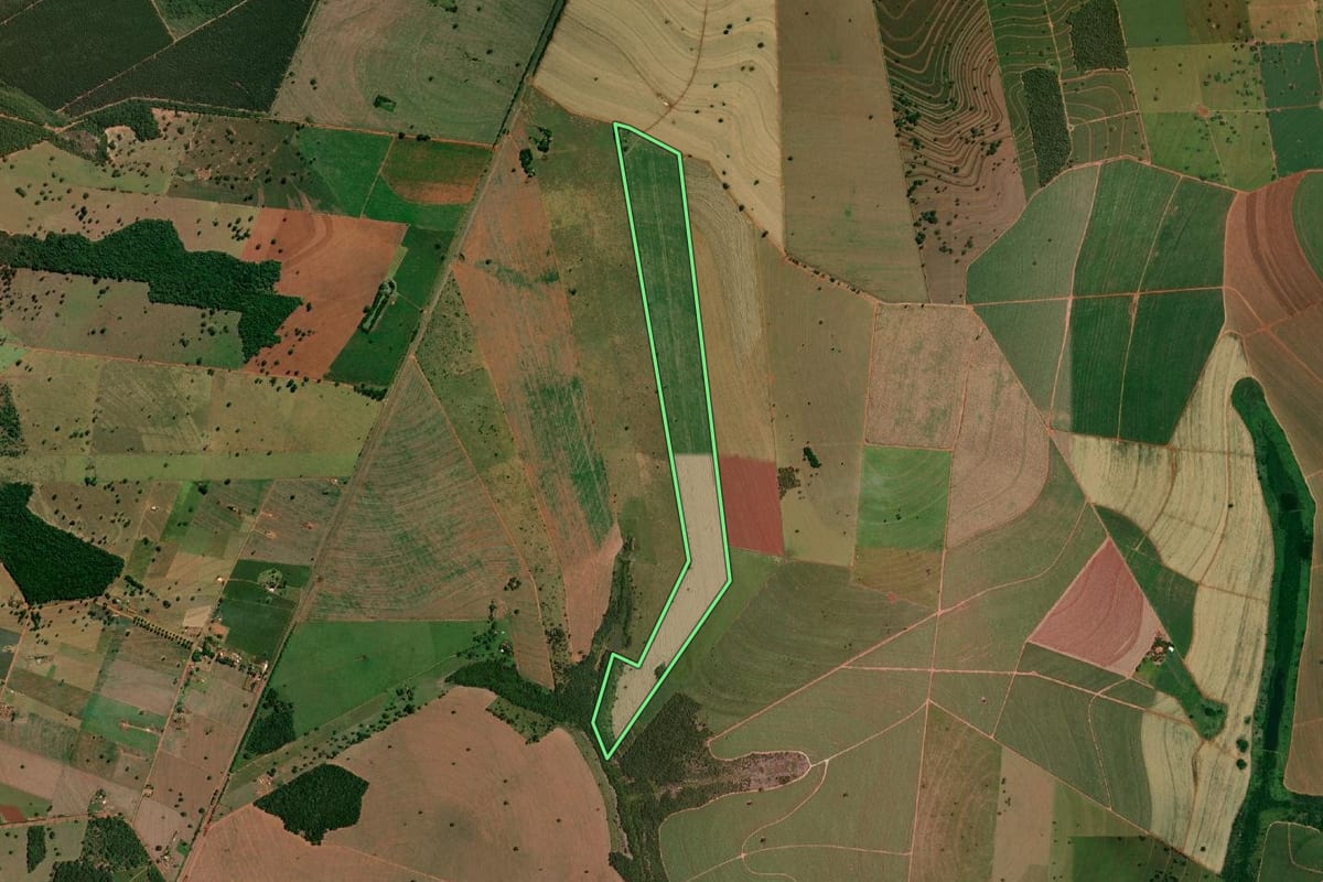 Imagem de satélite do imóvel rural em Rancharia (SP), com o contorno declarado no CAR desenhado por cima.