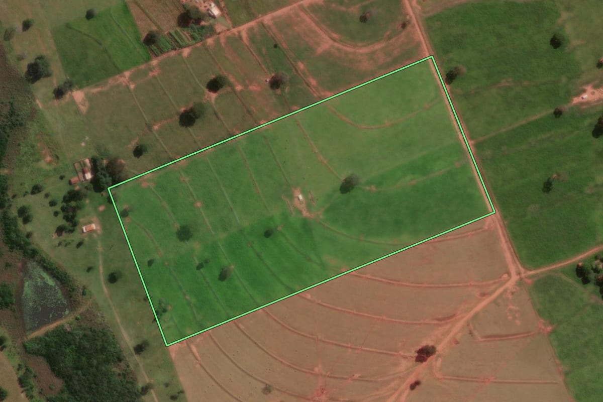 Imagem de satélite do imóvel rural em Rancharia (SP), com o contorno declarado no CAR desenhado por cima.