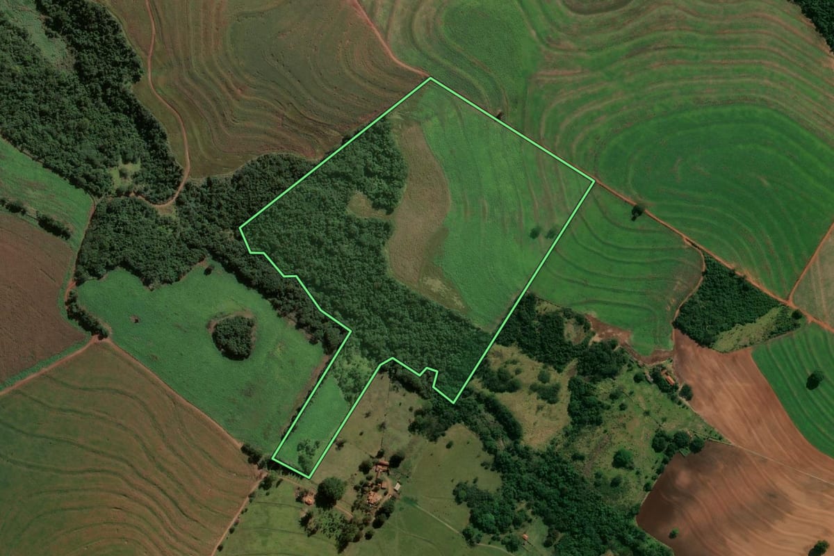 Imagem de satélite do imóvel rural em Rancharia (SP), com o contorno declarado no CAR desenhado por cima.
