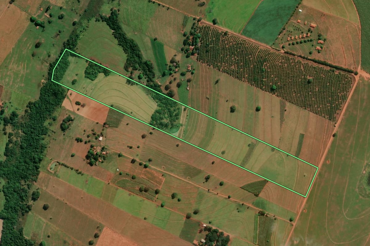 Imagem de satélite do imóvel rural em Regente Feijó (SP), com o contorno declarado no CAR desenhado por cima.