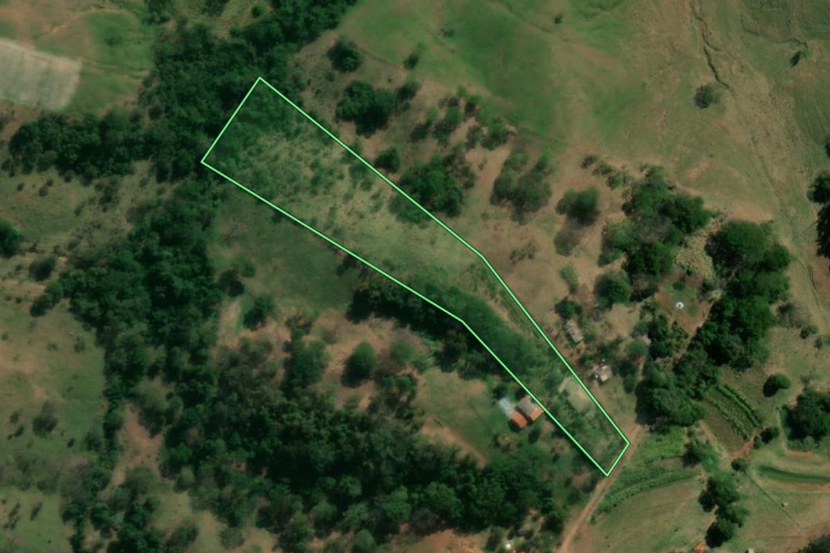 Imagem de satélite do imóvel rural em Regente Feijó (SP), com o contorno declarado no CAR desenhado por cima.