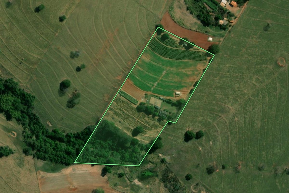 Imagem de satélite do imóvel rural em Regente Feijó (SP), com o contorno declarado no CAR desenhado por cima.