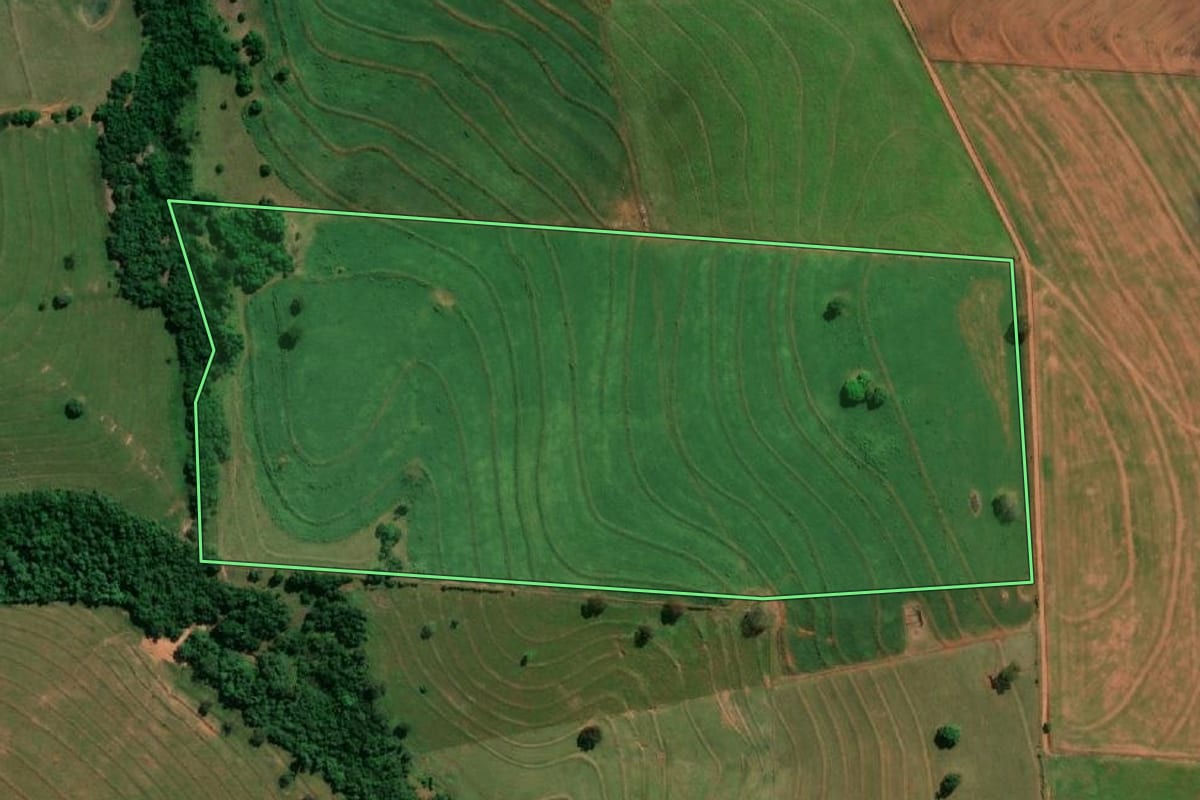Imagem de satélite do imóvel rural em Regente Feijó (SP), com o contorno declarado no CAR desenhado por cima.