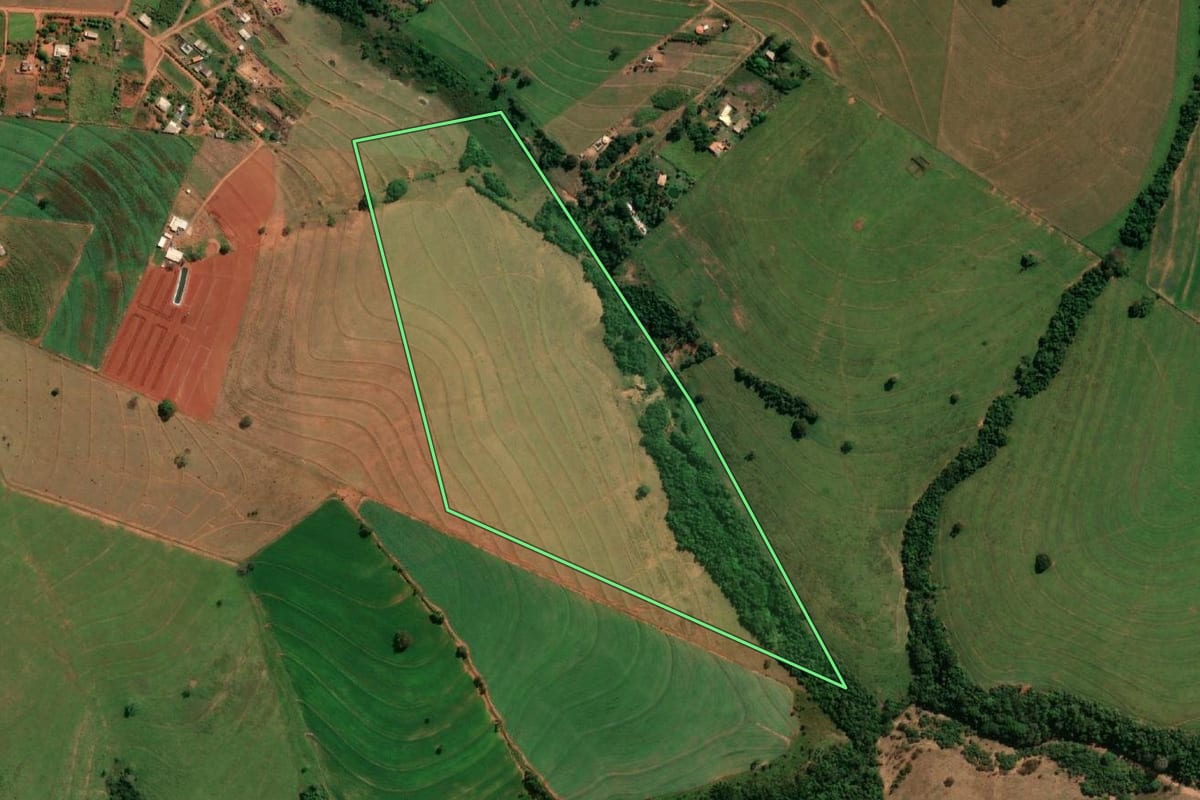 Imagem de satélite do imóvel rural em Regente Feijó (SP), com o contorno declarado no CAR desenhado por cima.