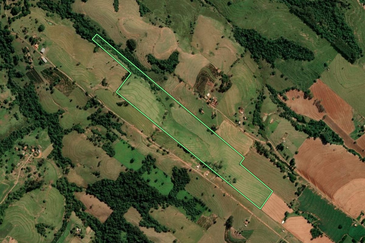 Imagem de satélite do imóvel rural em Regente Feijó (SP), com o contorno declarado no CAR desenhado por cima.