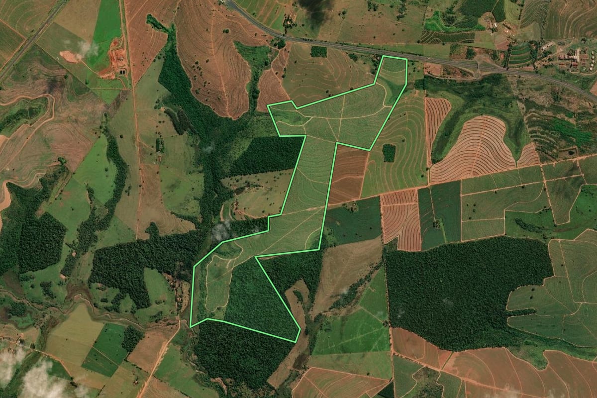 Imagem de satélite do imóvel rural em Regente Feijó (SP), com o contorno declarado no CAR desenhado por cima.
