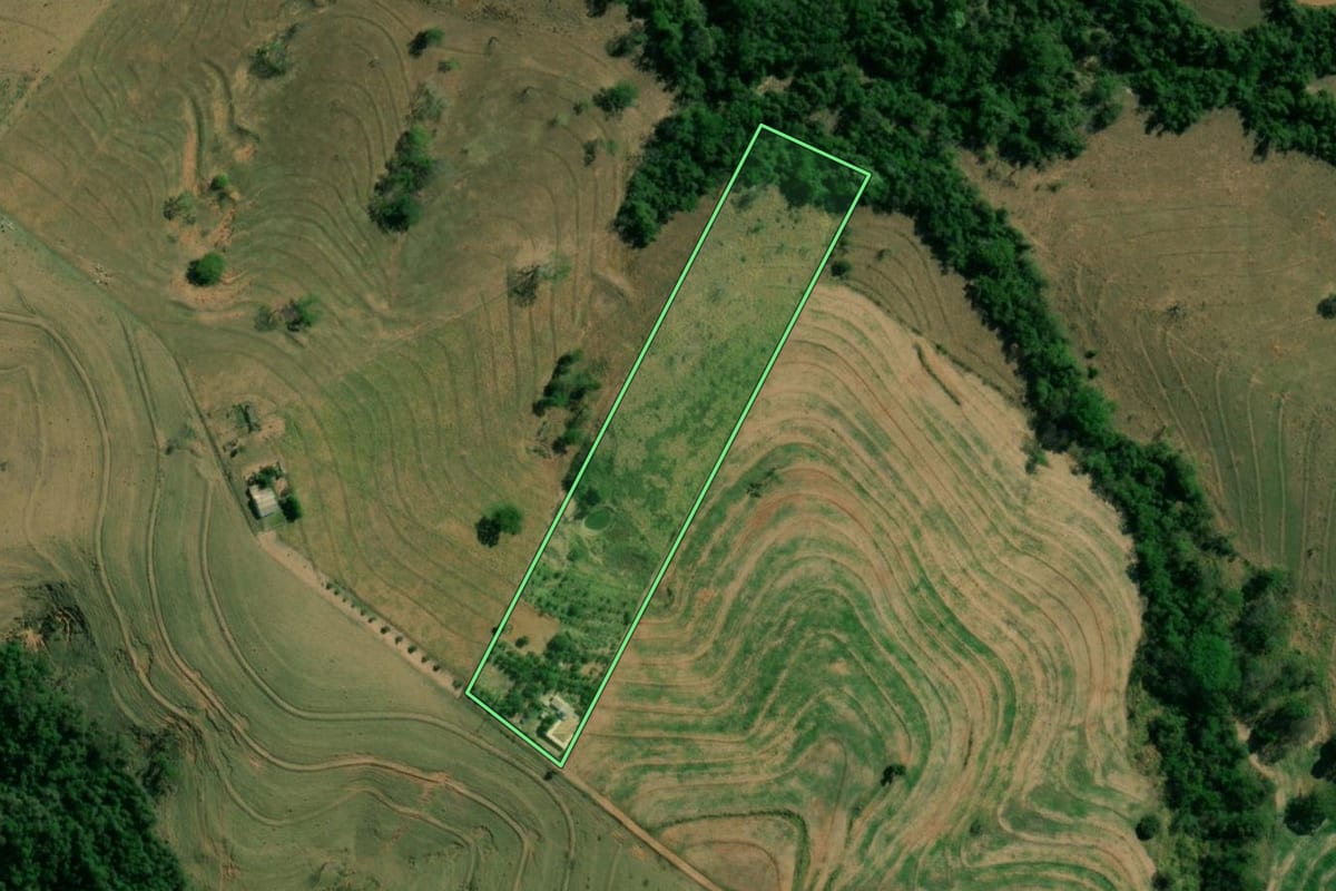 Imagem de satélite do imóvel rural em Regente Feijó (SP), com o contorno declarado no CAR desenhado por cima.