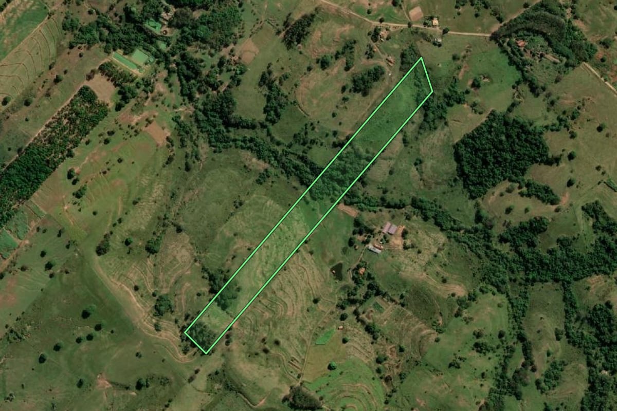 Imagem de satélite do imóvel rural em Regente Feijó (SP), com o contorno declarado no CAR desenhado por cima.