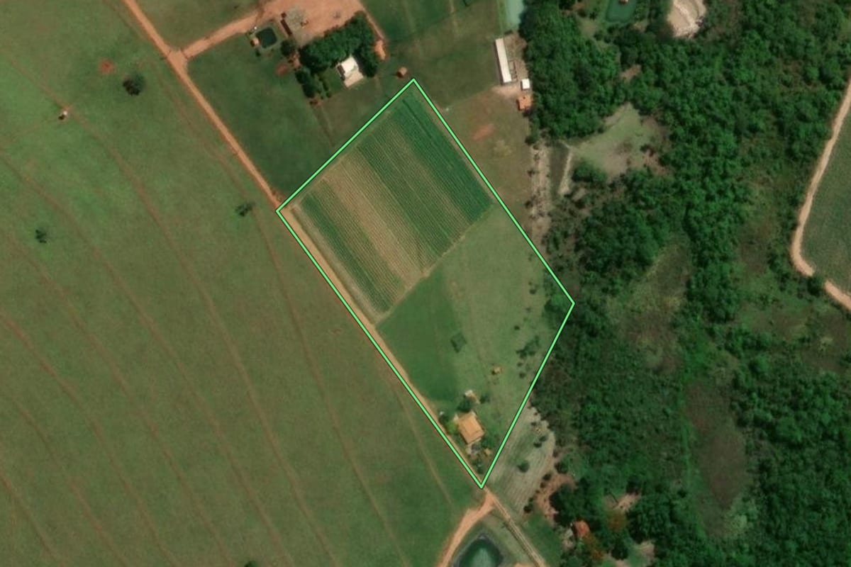 Imagem de satélite do imóvel rural em Reginópolis (SP), com o contorno declarado no CAR desenhado por cima.