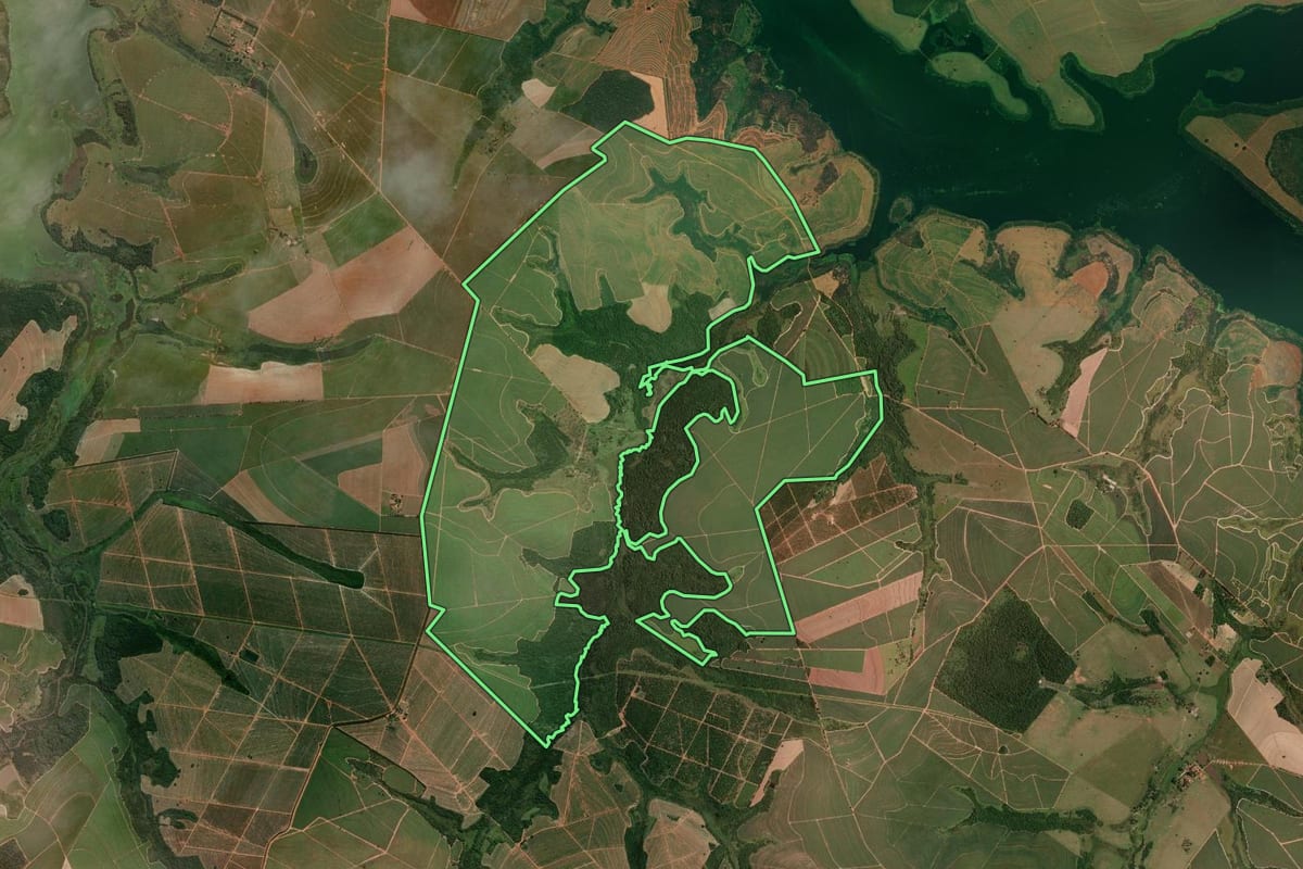 Imagem de satélite do imóvel rural em Reginópolis (SP), com o contorno declarado no CAR desenhado por cima.