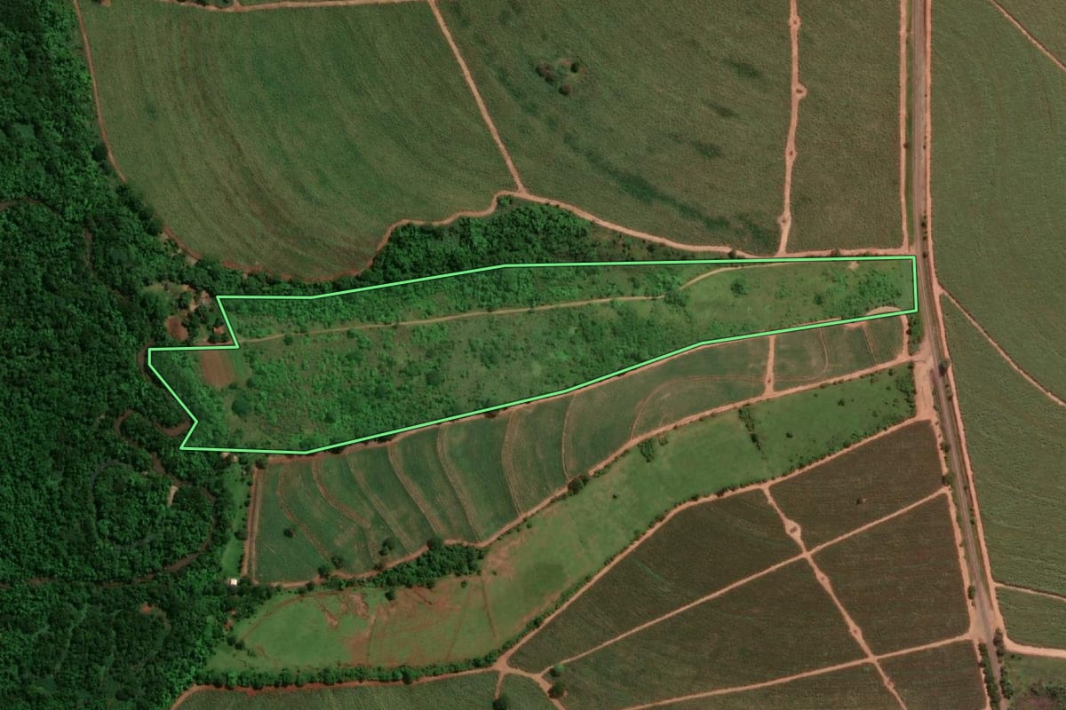 Imagem de satélite do imóvel rural em Reginópolis (SP), com o contorno declarado no CAR desenhado por cima.